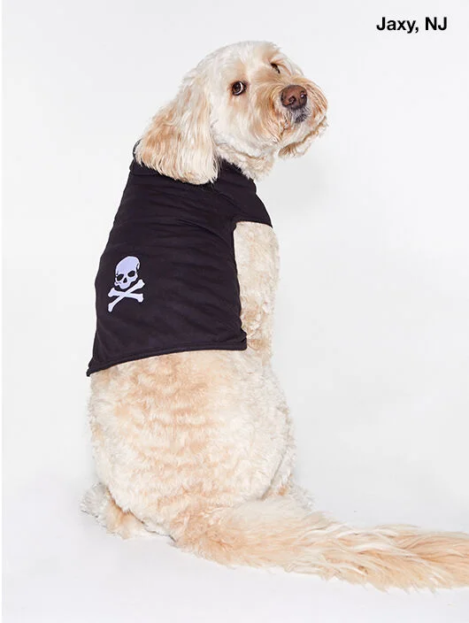 Hooded Dog Tee | Black